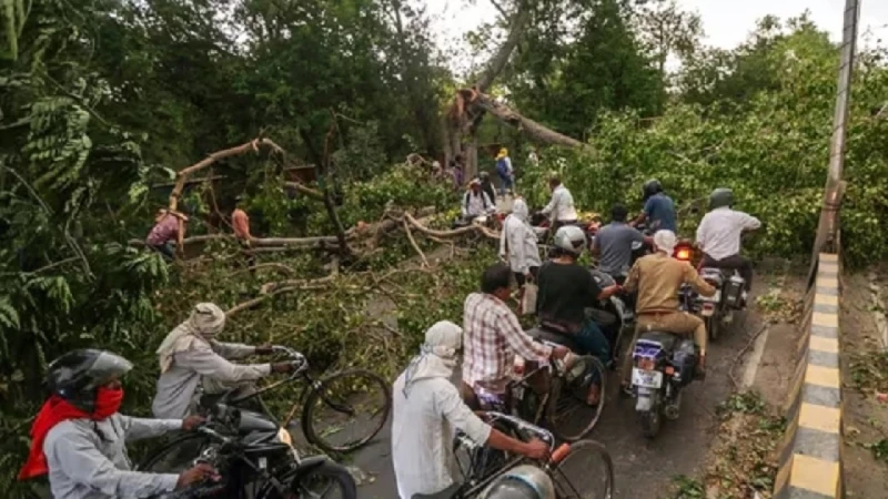উত্তর প্রদেশে ঝড়-বৃষ্টির তাণ্ডব, নিহত ৫৬