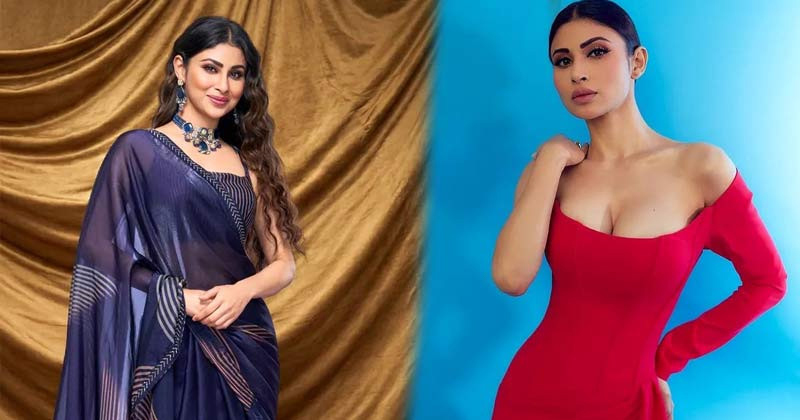 সংসার ভাঙল নাগিনখ্যাত অভিনেত্রীর; ভক্তদের প্রতি যে অনুরোধ করলেন মৌনি